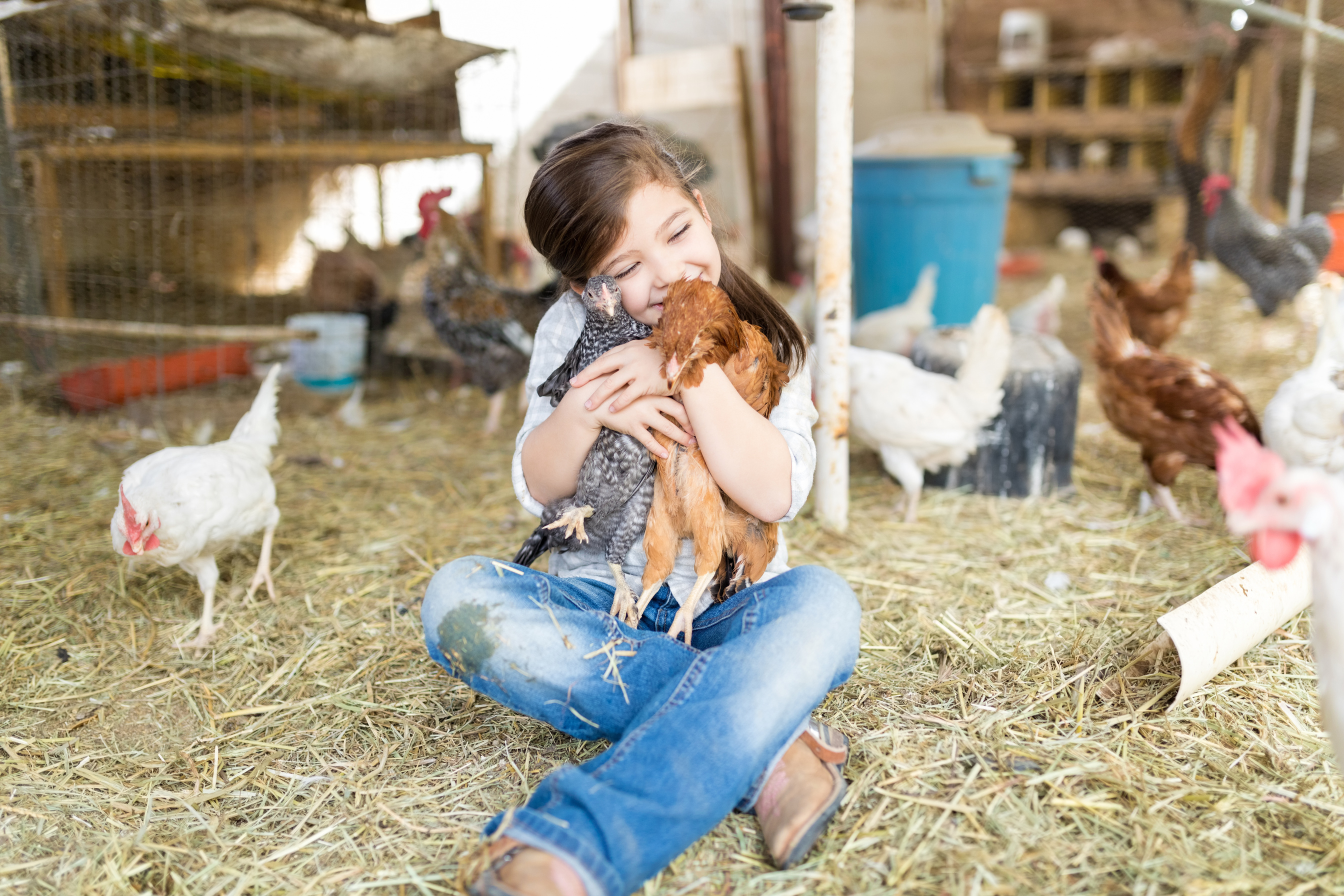 Happy Girl In Love With Chickens